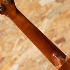 G String Hawaiian Style Soprano 2000's_7