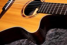 YAMAHA 【USED】NTX1200R 【全単板! / 生鳴りもしっかり楽しめます】【エレガット】 【池袋店在庫品】_6