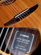 YAMAHA 【USED】NTX1200R 【全単板! / 生鳴りもしっかり楽しめます】【エレガット】 【池袋店在庫品】_10