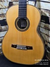 桜井 正毅 Masaki Sakurai P.C. 松・マダガスカルローズウッド 2026年製最新作【日本総本店2F 在庫品】