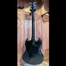 Diamond SG Type_10