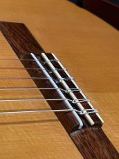 野辺正二 松/ハカランダ単板_9