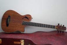 Yokoyama Guitars Leaf-Quiet / Steel / Mahogany Top - Proto Type -_2