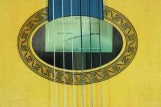 ＤＩ　ＧＩＯＲＧＩＯ TARREGA(タレガ)　松/中南米ローズウッド