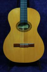 ＤＩ　ＧＩＯＲＧＩＯ TARREGA(タレガ)　松/中南米ローズウッド_2