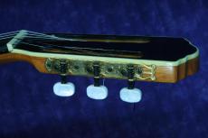 ＤＩ　ＧＩＯＲＧＩＯ TARREGA(タレガ)　松/中南米ローズウッド_5