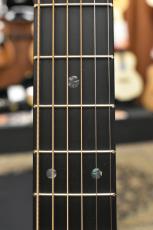 Martin D-X1E-01 #2867759【美しいコア柄】_8