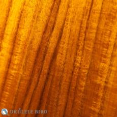 aNueNue aNN-AAA3E_11