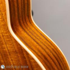 aNueNue aNN-AAA3E_12