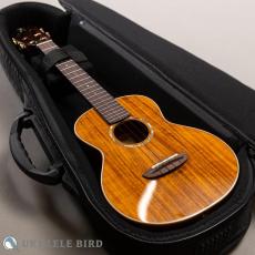 aNueNue aNN-AAA3E_15