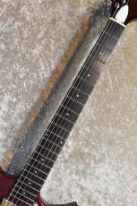 Harmony Rebel Burgundy 2022年製【オールラッカー、Made In USA、軽量3.12kg、美品中古】_3
