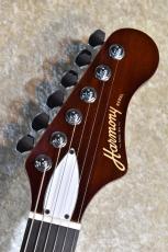 Harmony Rebel Burgundy 2022年製【オールラッカー、Made In USA、軽量3.12kg、美品中古】_4