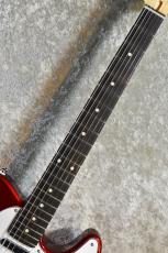 FUJIGEN BCTE100RBD Candy Apple Red #H240009【3.75kg】【国産エントリーモデル!】_3