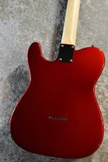 FUJIGEN BCTE100RBD Candy Apple Red #H240009【3.75kg】【国産エントリーモデル!】_6