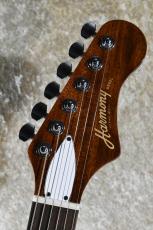 Harmony Rebel Pearl White 2021年製【オールラッカー、Made In USA、軽量3.05kg】_4