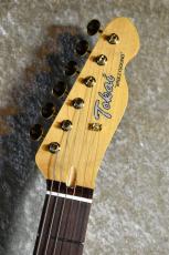 Tokai ATE-101G STW #240624【限定モデル、アルダーボディー】_4