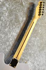 Tokai ATE-101G STW #240624【限定モデル、アルダーボディー】_6