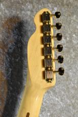 Tokai ATE-101G STW #240624【限定モデル、アルダーボディー】_7