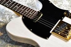 Tokai ATE-101G STW #240624【限定モデル、アルダーボディー】_11