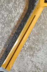 Fender FSR AMERICAN PROFESSIONAL II TELECASTER THINLINE #US24023943【軽量3.21kg!】【16本限定!】_9