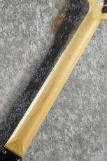 FUJIGEN BCTE100RBD Black #D240046【軽量3.26kg】【国産エントリーモデル!】_7