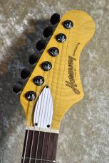 Harmony Silhouette w/Bigsby Slate #0240354【軽量3.47kg、オールラッカー、Made In USA】_4