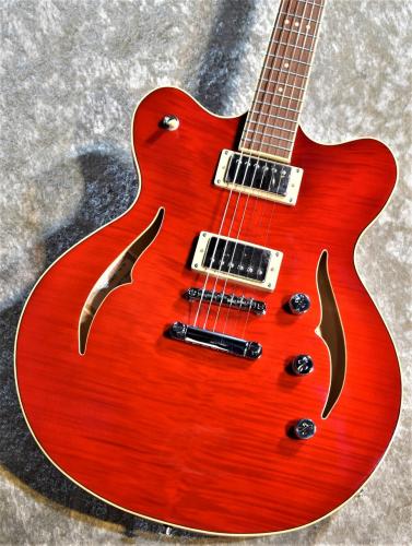 Hofner Verythin CT Special   HCT-VTH-SP-R  -Transparent Red- 指版補修品特価 ハードケース付き  #V0411Y001 