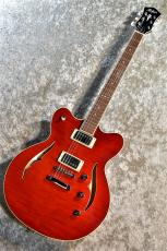 Hofner Verythin CT Special   HCT-VTH-SP-R  -Transparent Red- 指版補修品特価 ハードケース付き  #V0411Y001 _2