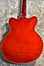 Hofner Verythin CT Special   HCT-VTH-SP-R  -Transparent Red- 指版補修品特価 ハードケース付き  #V0411Y001 _5