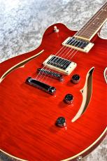 Hofner Verythin CT Special   HCT-VTH-SP-R  -Transparent Red- 指版補修品特価 ハードケース付き  #V0411Y001 _8