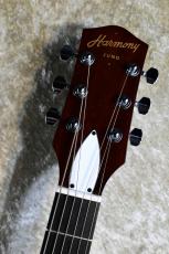 Harmony Juno Champagne 【Made in USA、オールラッカー塗装】【次回入荷分ご予約受付中】_4