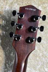 Harmony Juno Champagne 【Made in USA、オールラッカー塗装】【次回入荷分ご予約受付中】_7