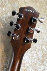 Harmony Juno Rose【Made in USA、オールラッカー塗装】【次回入荷分ご予約受付中】_7