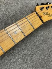 Bill Lawrence BT-3M_7