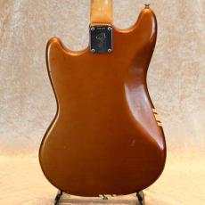 Fender MUSTANG_2
