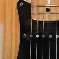 Fender Stratocaster_5