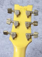 Ibanez 【特選中古セール!】 AR 100 -PolarWhite- 【1981'USED】_6