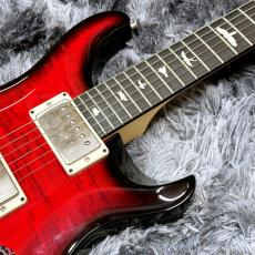 Paul Reed Smith [PRS] CE 24 Custom Configuration Custom Color【限定仕様】【カスタムカラー!】_5