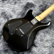 Paul Reed Smith [PRS] CE 24 Custom Configuration Custom Color【限定仕様】【カスタムカラー!】_9