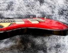 Paul Reed Smith [PRS] CE 24 Custom Configuration Custom Color【限定仕様】【カスタムカラー!】_10