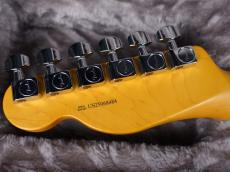 Fender American Professional II Telecaster Butterscotch Blonde_9