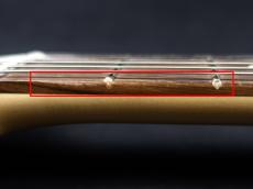 Fender Chris Shiflett Telecaster Deluxe Shoreline Gold_10