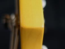 Fender American Professional Classic Precision Bass Faded Sherwood Green Metallic_11