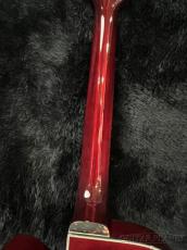 FUJIGEN MFA-FP -WR (Wine Red)-【2.79kg】【コイルタップ付】_7