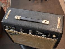 Fender 1965 Champ Blackface Vintage!!_5