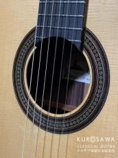 Paco Castillo パコ・カスティージョ Model:240S 7/8 松・ローズウッド 【日本総本店2F 在庫品】_3
