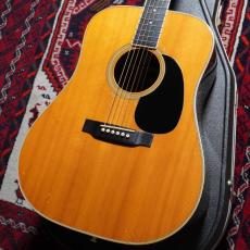 Martin 1972 D-35_2