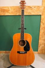 Martin 1972 D-35_11