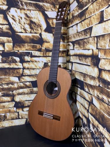 Paco Castillo パコ・カスティージョ Model:240S 7/8 杉・ローズウッド 【日本総本店2F 在庫品】