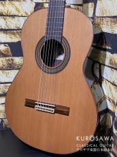 Paco Castillo パコ・カスティージョ Model:240S 7/8 杉・ローズウッド 【日本総本店2F 在庫品】_2